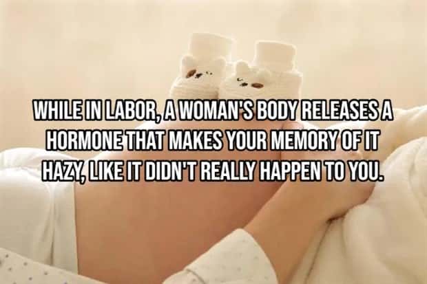 Incredible Human Body Facts You Should Know (15 photos)