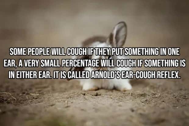 Incredible Human Body Facts You Should Know (15 photos)