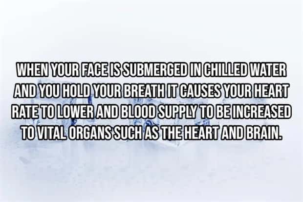 Incredible Human Body Facts You Should Know (15 photos)