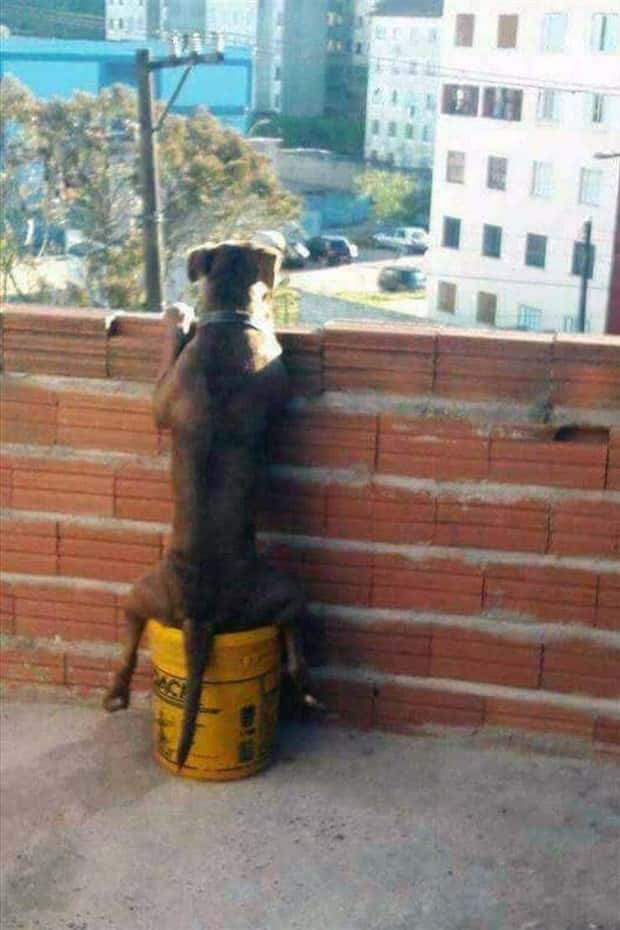 Klyker Picdump #1953 (48 photos)