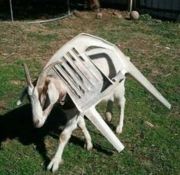 Klyker Picdump #1960 (45 photos)