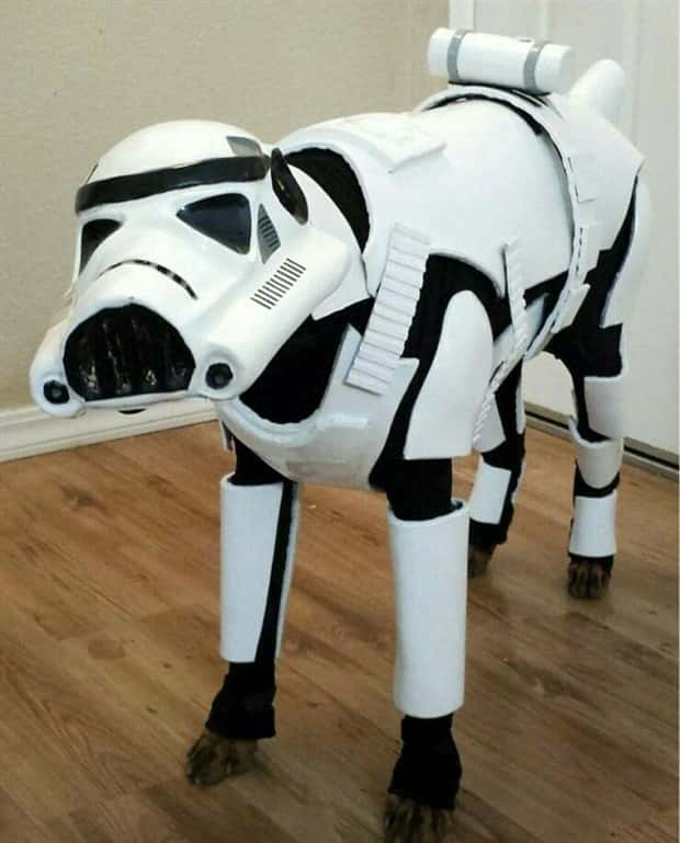 Klyker Picdump #1960 (45 photos)