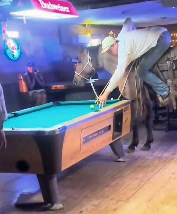 Klyker Picdump #1963 (43 photos)