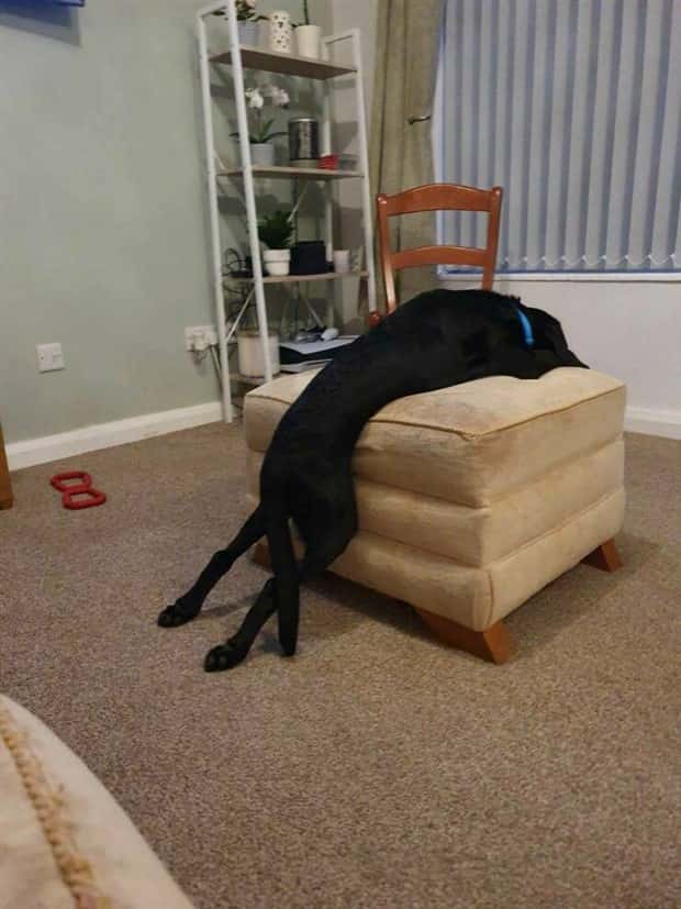 Klyker Picdump #1964 (44 photos)