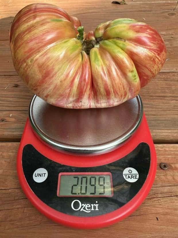 Klyker Picdump #1964 (44 photos)