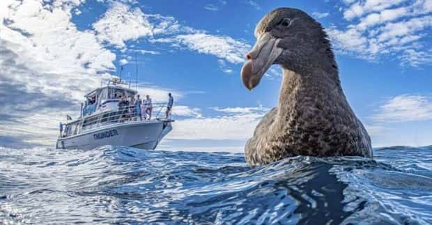 Klyker Picdump #1964 (44 photos)