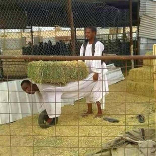 Klyker Picdump #1964 (44 photos)