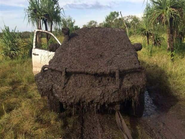 Klyker Picdump #1964 (44 photos)