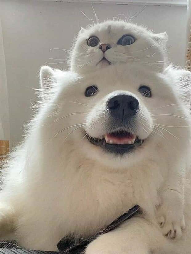 Klyker Picdump #1965 (45 photos)