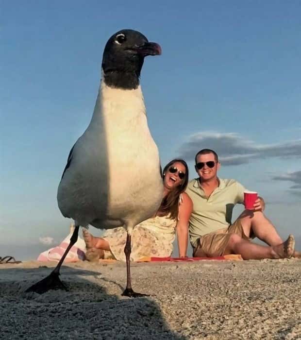 Klyker Picdump #1965 (45 photos)