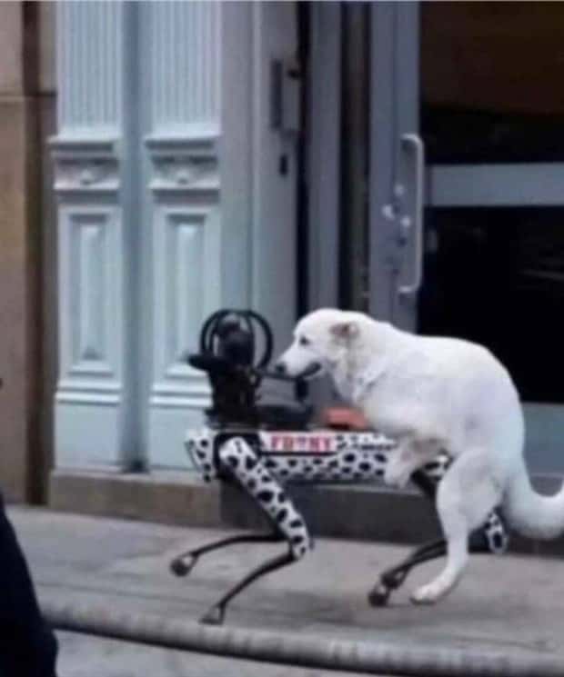 Klyker Picdump #1965 (45 photos)