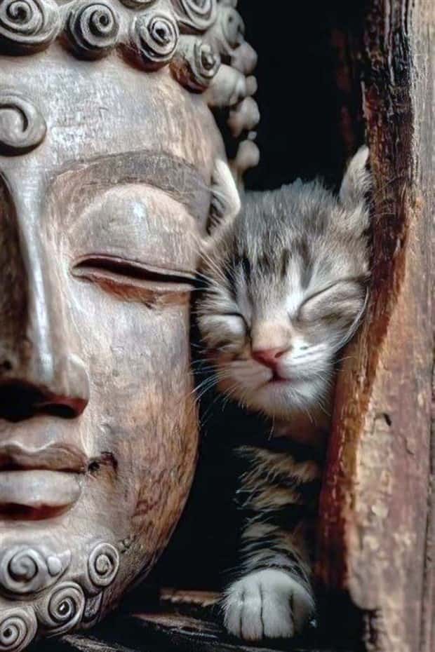 Klyker Picdump #1954 (44 photos)