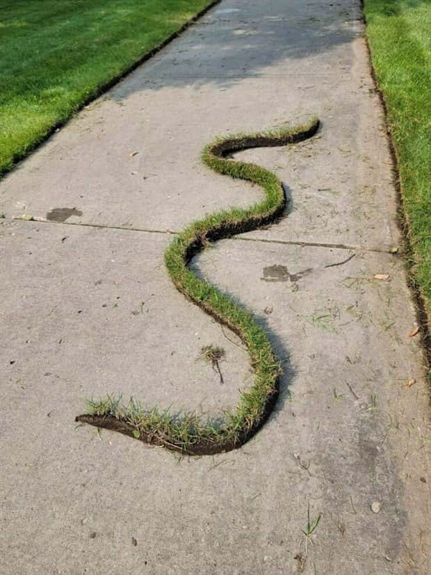 Klyker Picdump #1954 (44 photos)