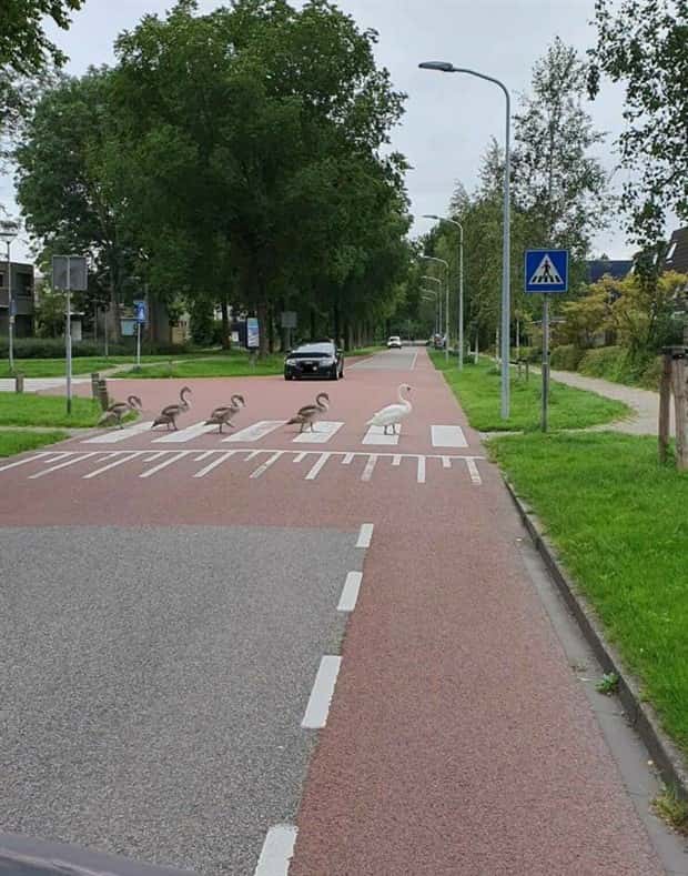 Klyker Picdump #1954 (44 photos)