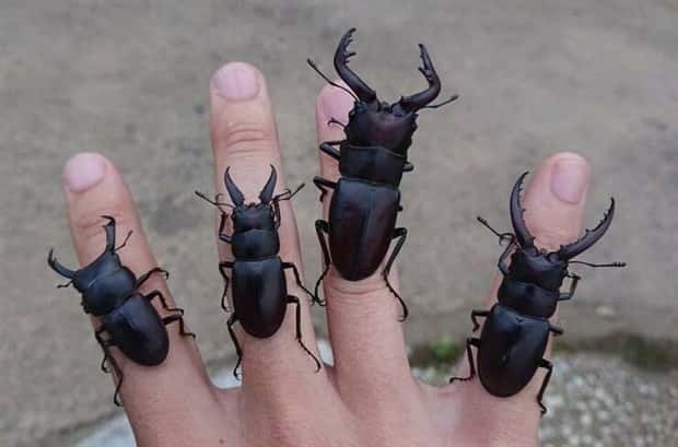 Klyker Picdump #1954 (44 photos)