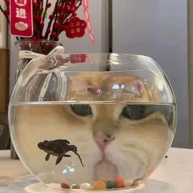 Klyker Picdump #1954 (44 photos)