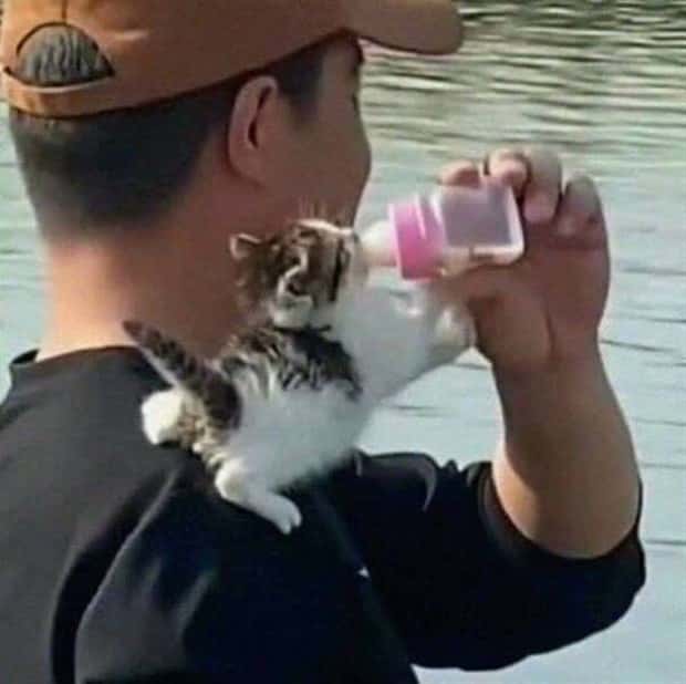 Klyker Picdump #1954 (44 photos)