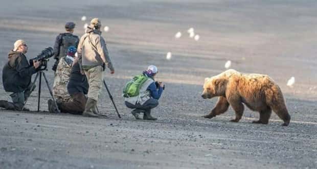 Klyker Picdump #1954 (44 photos)