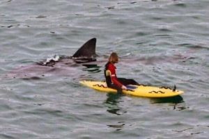 Klyker Picdump #1966 (41 photos)