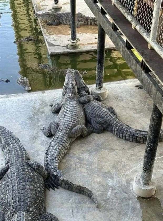 Klyker Picdump #1970 (45 photos)