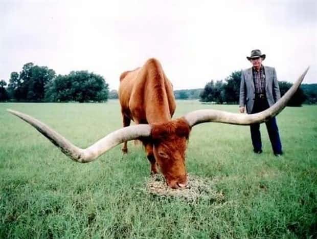 Klyker Picdump #1971 (41 photos)