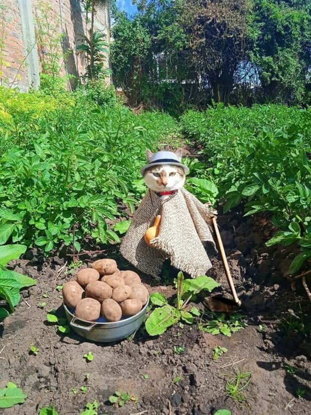 Klyker Picdump #1955 (45 photos)