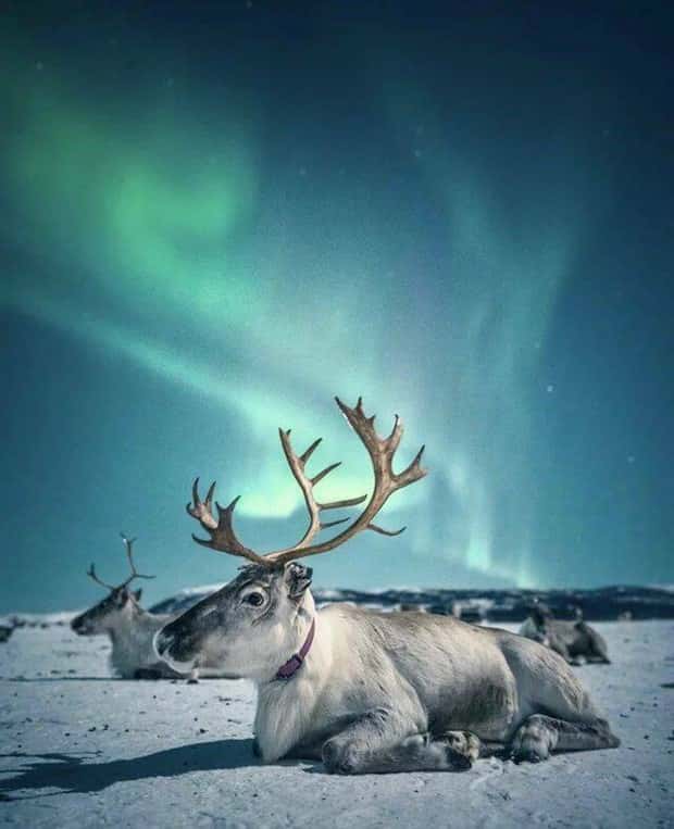 Klyker Picdump #1974 (44 photos)