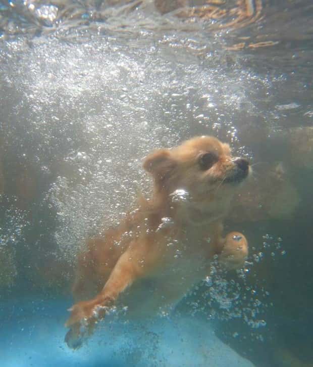 Klyker Picdump #1974 (44 photos)