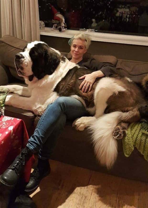 Klyker Picdump #1974 (44 photos)