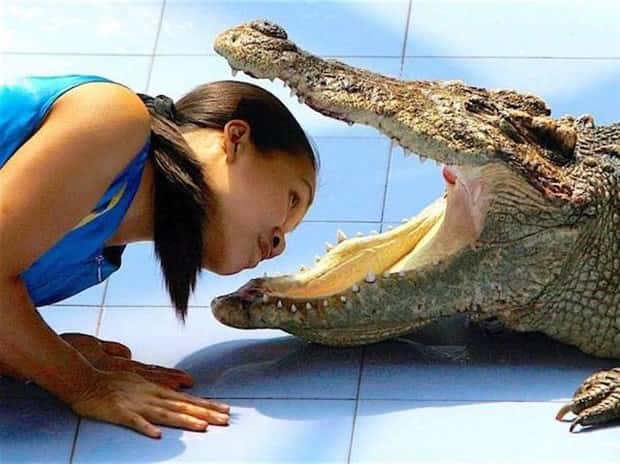 Klyker Picdump #1974 (44 photos)