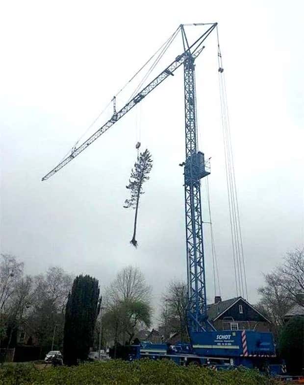 Klyker Picdump #1974 (44 photos)