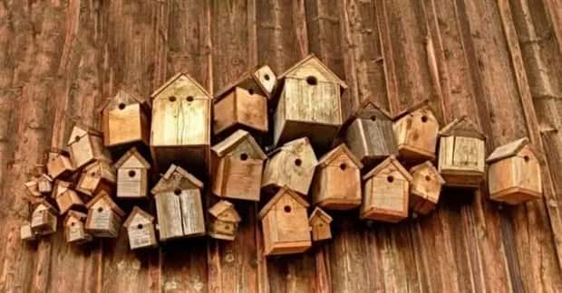 Klyker Picdump #1974 (44 photos)