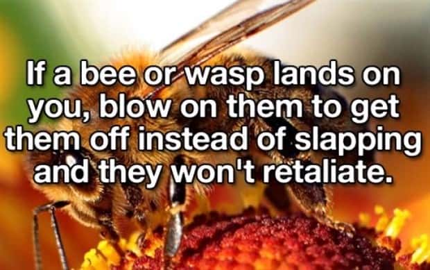 Easy Life Hacks That Feel Surprisingly Useful (25 photos)