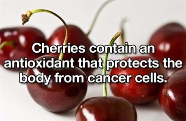 Easy Life Hacks That Feel Surprisingly Useful (25 photos)