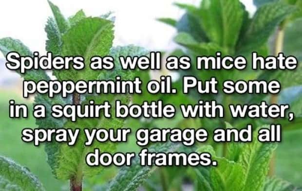 Easy Life Hacks That Feel Surprisingly Useful (25 photos)