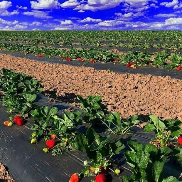 25 Empty Spaces That Quietly Disturb Minds (25 photos)