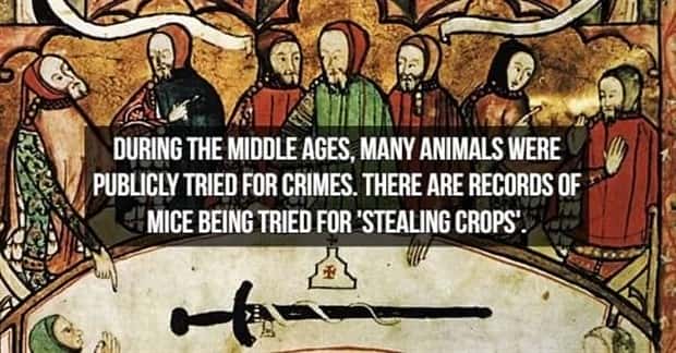 18 Medieval History Facts That Still Surprise (18 photos)