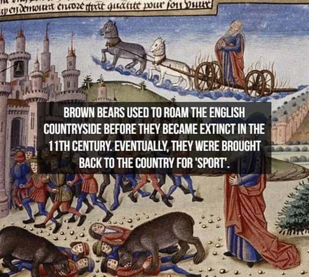 18 Medieval History Facts That Still Surprise (18 photos)