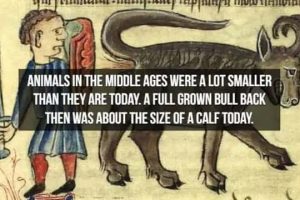 18 Medieval History Facts That Still Surprise (18 photos)
