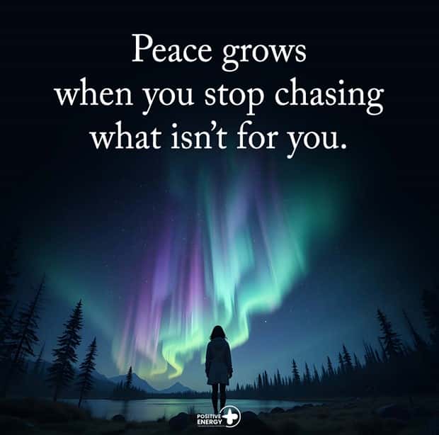 Motivational Quotes, Because It’s Monday #203 (19 photos)