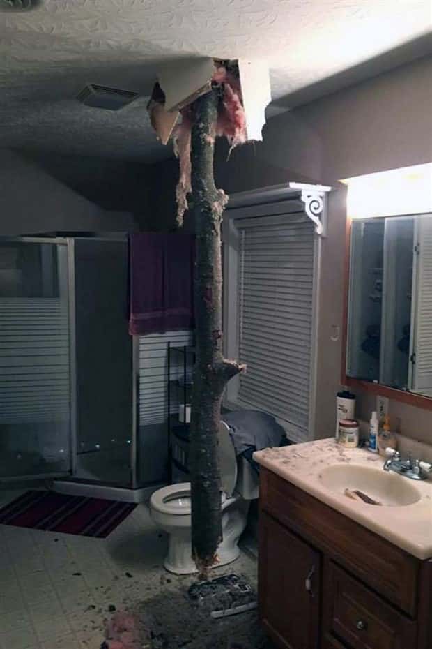 Shit Happens Regularly, Get Used To It #378 (22 photos)