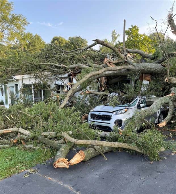 Shit Happens Regularly, Get Used To It #376 (18 photos)