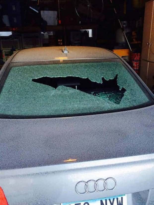 Shit Happens Regularly, Get Used To It #375 (19 photos)