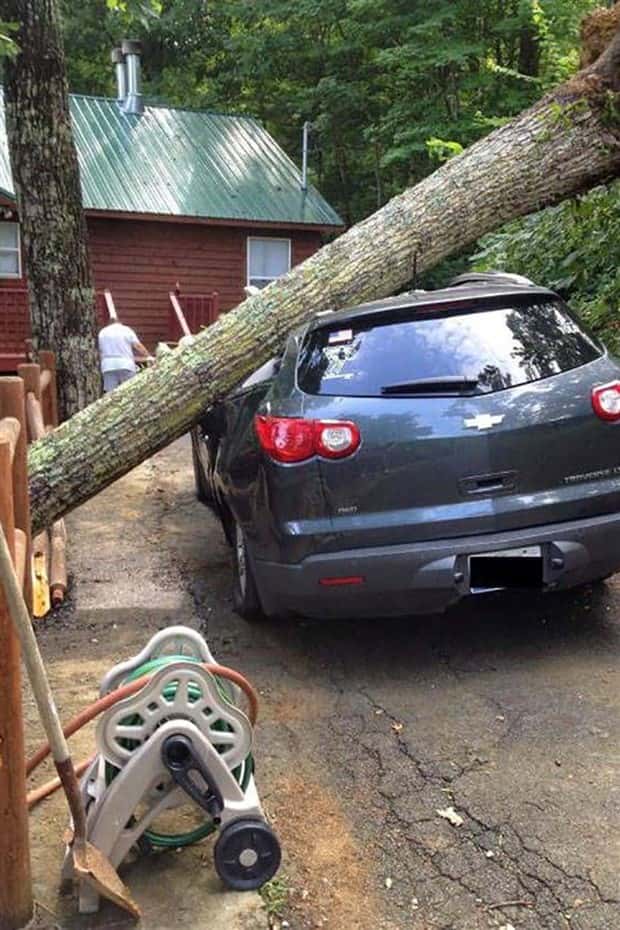 Shit Happens Regularly, Get Used To It #376 (18 photos)