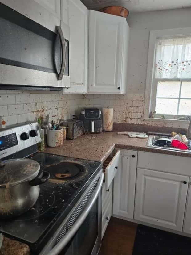 Shit Happens Regularly, Get Used To It #376 (18 photos)