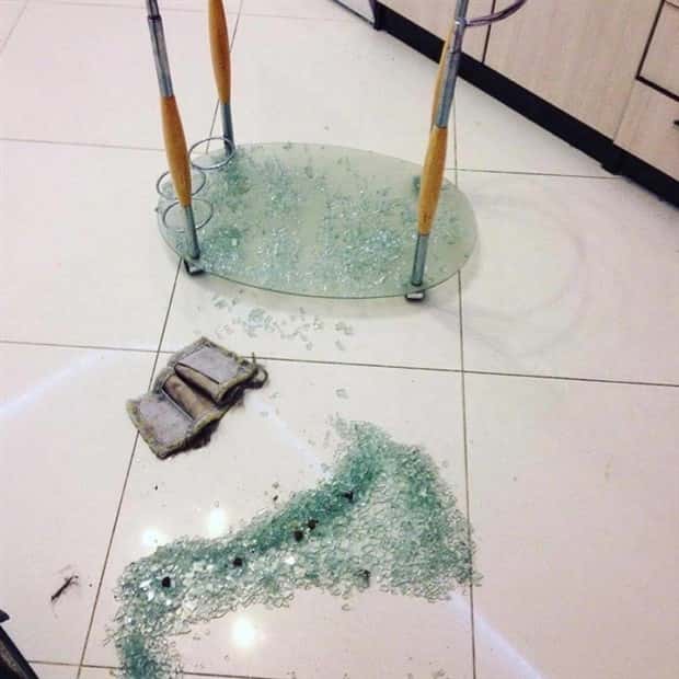 Shit Happens Regularly, Get Used To It #378 (22 photos)