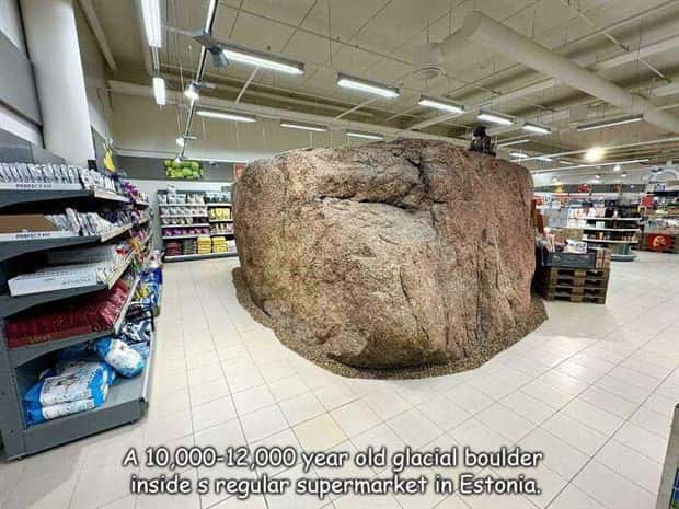 Interesting Pictures with Captions #204 (22 photos)