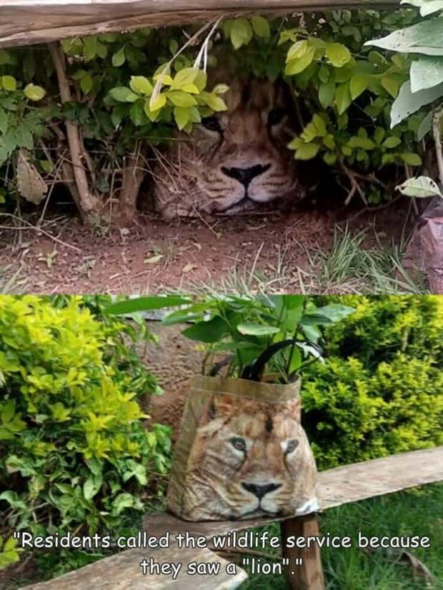 Interesting Pictures with Captions #204 (22 photos)