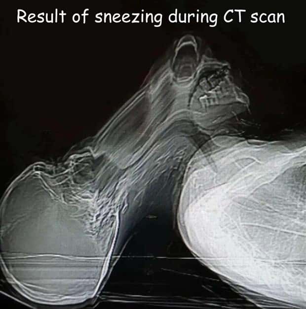 Interesting Pictures with Captions #204 (22 photos)