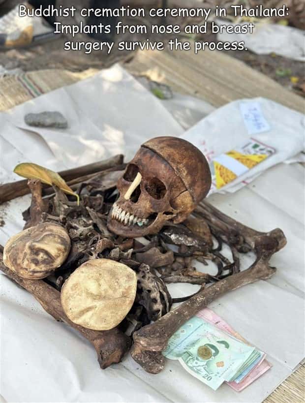 Interesting Pictures with Captions #204 (22 photos)